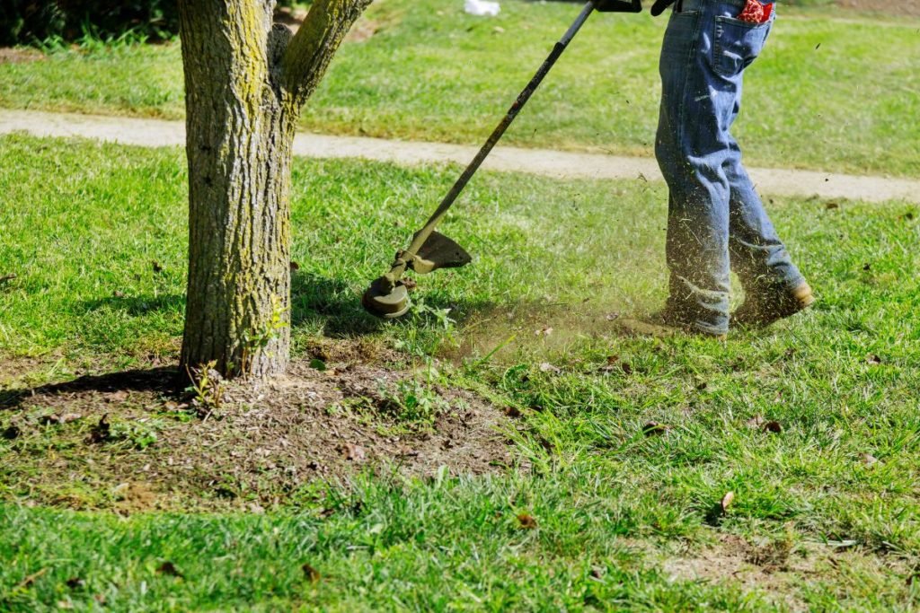 lawn-maintenance-wellington 